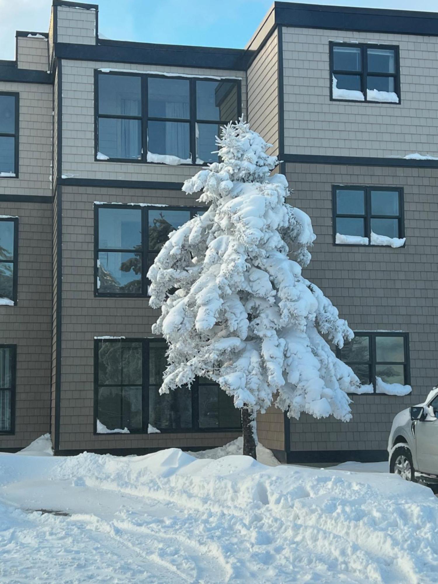 Snowcrest Condo Walking Distance To Slopes Snowshoe Dış mekan fotoğraf